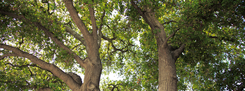 to Oakwood Oakwood Family Treatment Centers